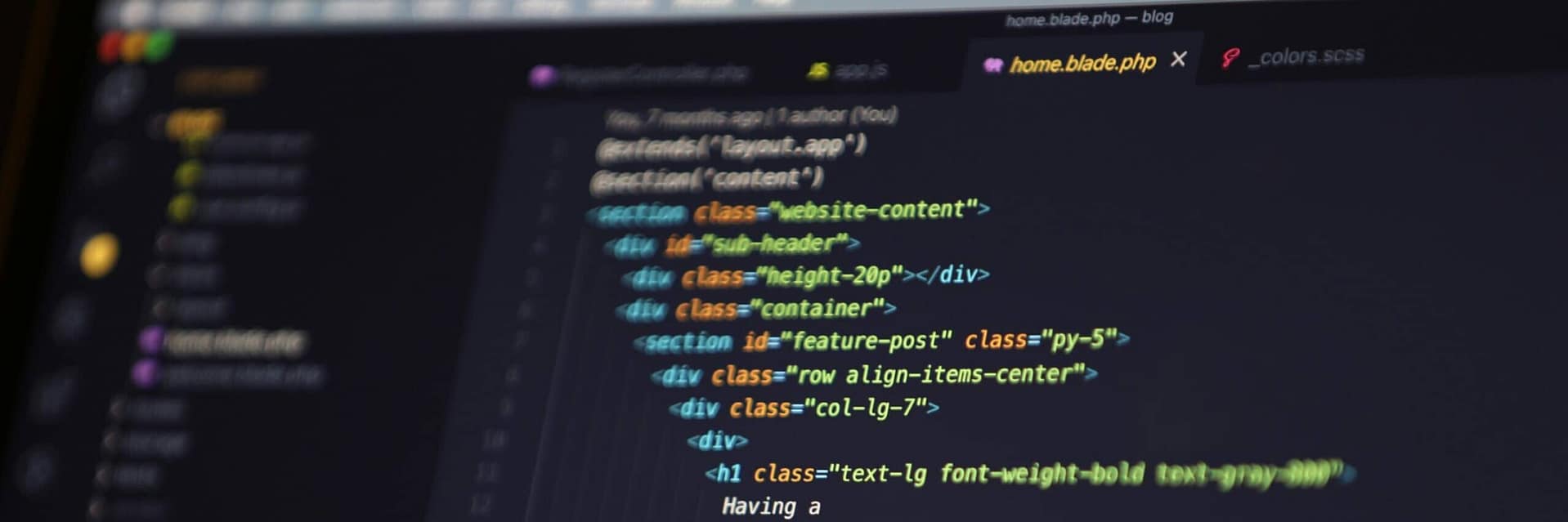 Sviluppatore programmazione WordPress sito web