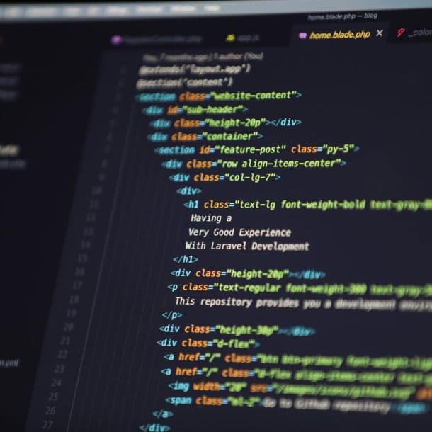 Sviluppatore programmazione WordPress sito web